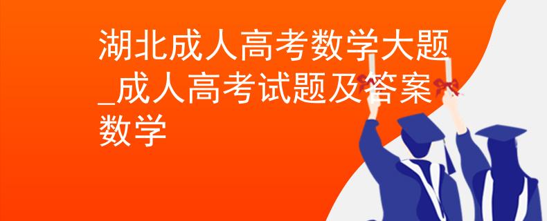 湖北成人高考数学大题_成人高考试题及答案数学