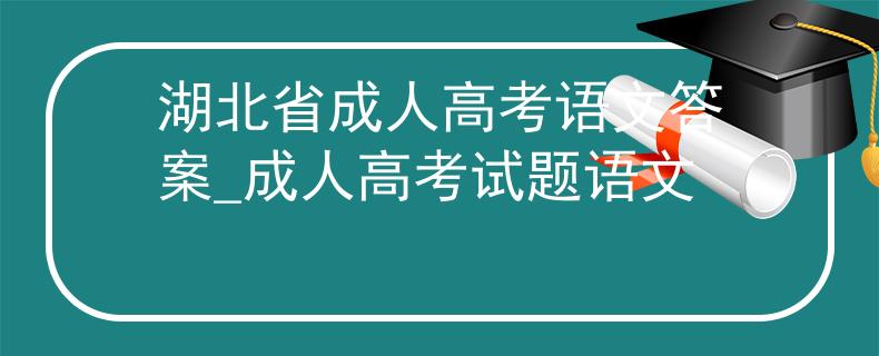湖北省成人高考语文答案_成人高考试题语文