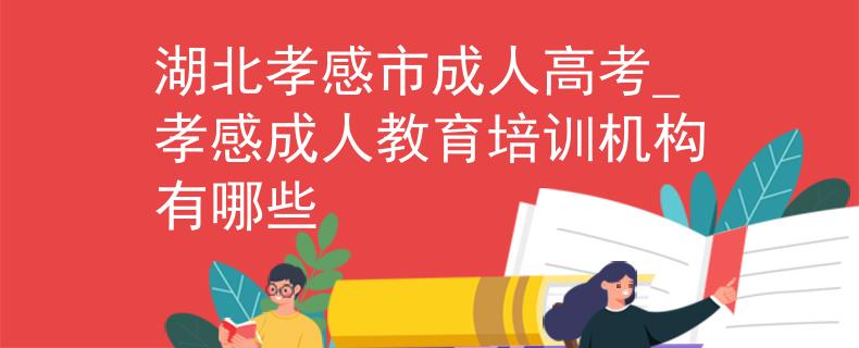 湖北孝感市成人高考_孝感成人教育培训机构有哪些