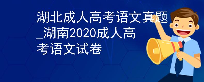 湖北成人高考语文真题_湖南2020成人高考语文试卷