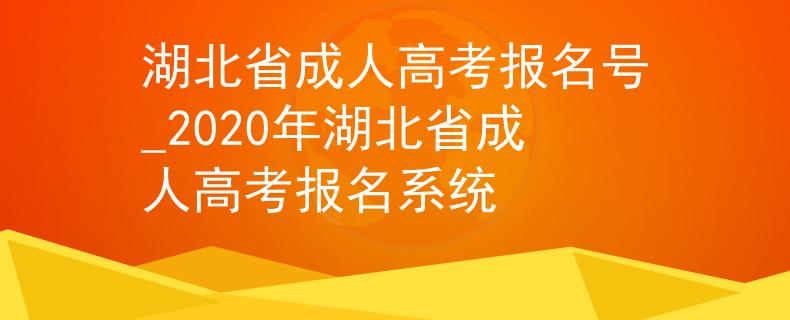 湖北省成人高考报名号_2020年湖北省成人高考报名系统