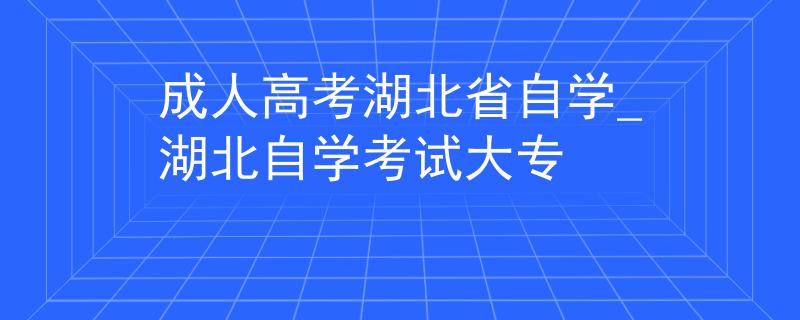 成人高考湖北省自学_湖北自学考试大专