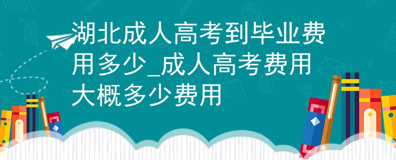 湖北成人高考到毕业费用多少_成人高考费用大概多少费用