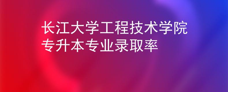 长江大学工程技术学院专升本专业录取率