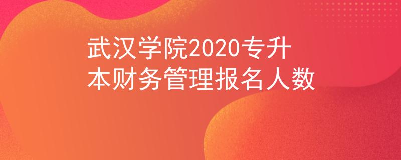 武汉学院2020专升本财务管理报名人数