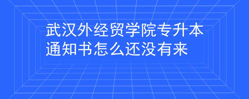 武汉外经贸学院专升本通知书怎么还没有来