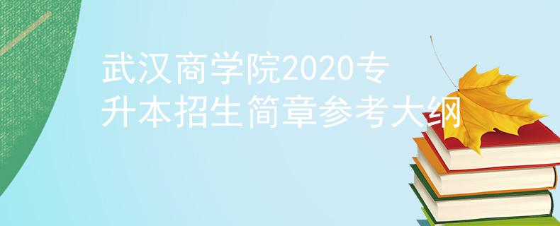 武汉商学院2020专升本招生简章参考大纲