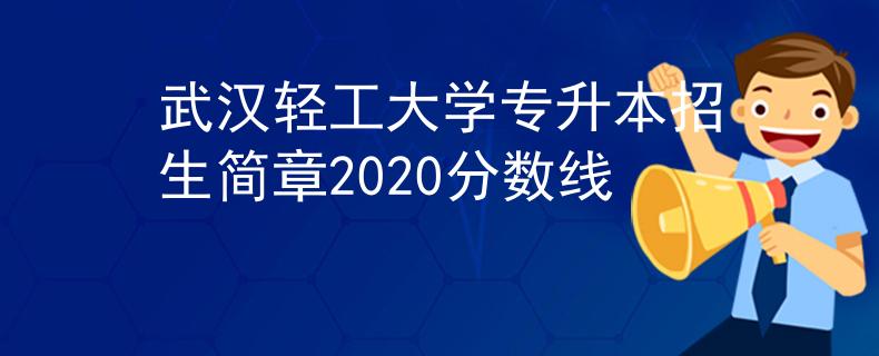 武汉轻工大学专升本招生简章2020分数线
