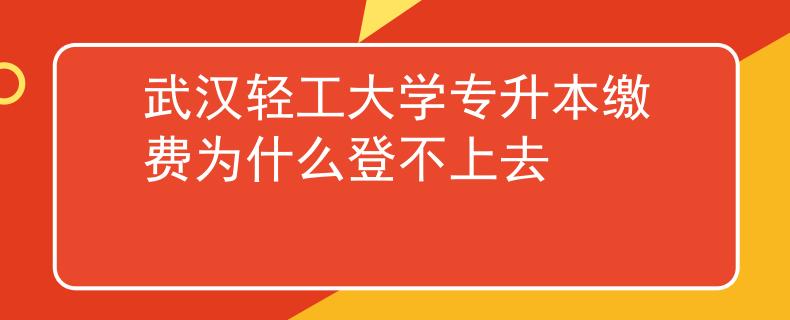 武汉轻工大学专升本缴费为什么登不上去