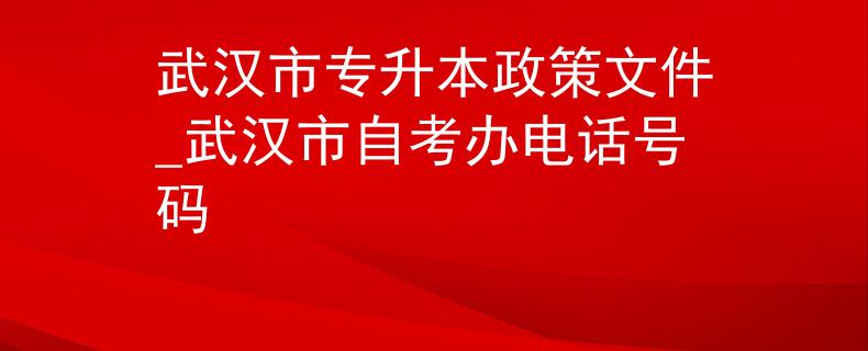 武汉市专升本政策文件_武汉市自考办电话号码