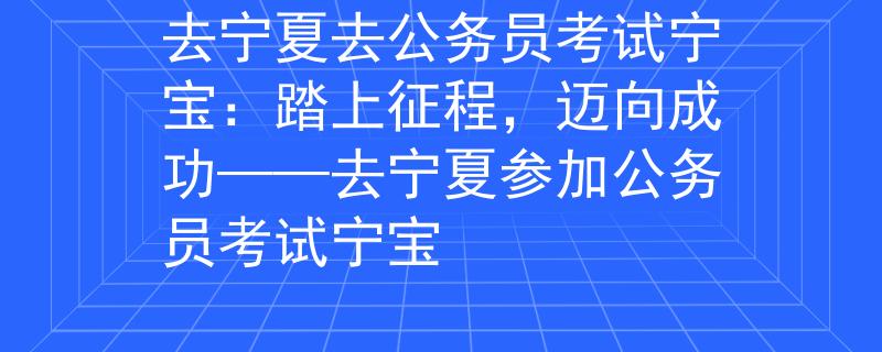 去宁夏去公务员考试宁宝：踏上征程，迈向成功——去宁夏参加公务员考试宁宝