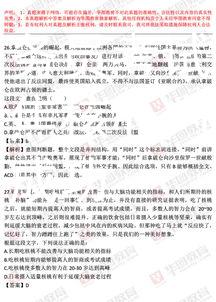 新疆公务员考试大纲聚能：聚焦核心内容，助力备考成功