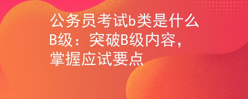 公务员考试b类是什么B级：突破B级内容，掌握应试要点