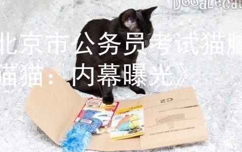 北京市公务员考试猫腻猫猫：内幕曝光》