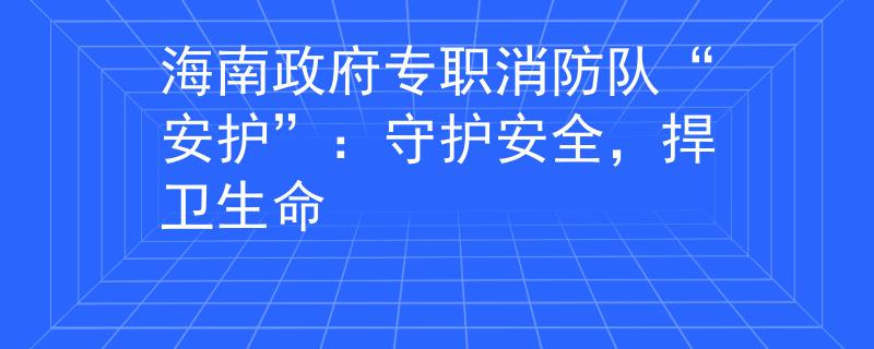 海南政府专职消防队“安护”：守护安全，捍卫生命