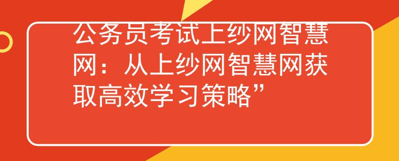 公务员考试上纱网智慧网：从上纱网智慧网获取高效学习策略”