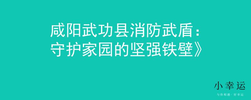 咸阳武功县消防武盾：守护家园的坚强铁壁》