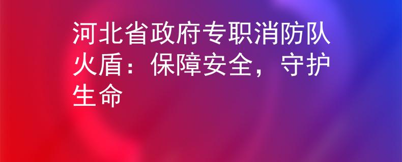 河北省政府专职消防队火盾：保障安全，守护生命