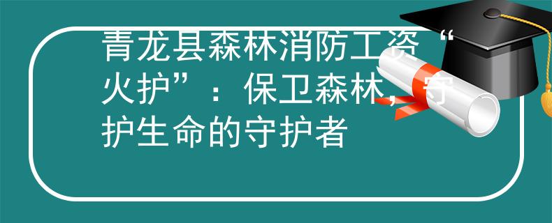 青龙县森林消防工资“火护”：保卫森林，守护生命的守护者