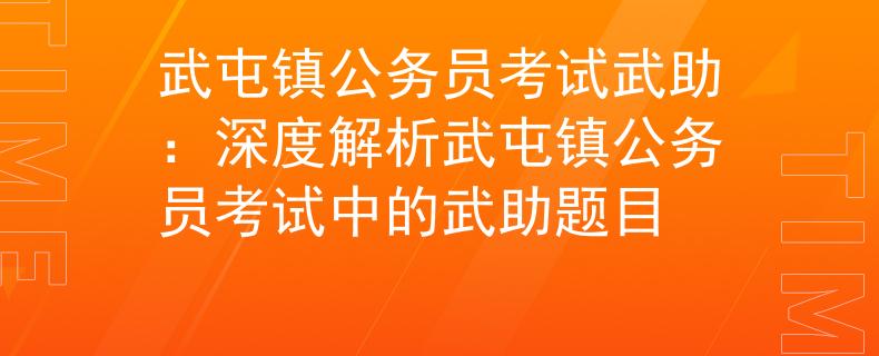 武屯镇公务员考试武助：深度解析武屯镇公务员考试中的武助题目