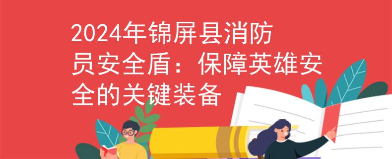 2024年锦屏县消防员安全盾：保障英雄安全的关键装备