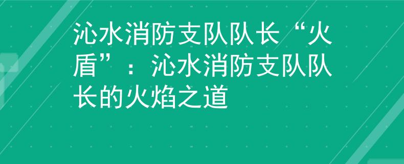 沁水消防支队队长“火盾”：沁水消防支队队长的火焰之道